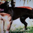 메이데이 이미지