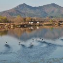 송산공원 이미지