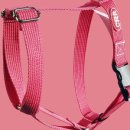 클러스터라운드 이미지