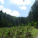 홍천세무서 이미지