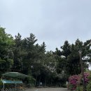 용연·용두암 | 제주공항 근처 가볼만한곳: 용두암 &amp; 용연계곡 무료입장, 주차