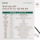 다산별빛초등학교 이미지