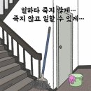 서울대 교직원들의 민낯 이미지