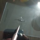 덴토피아자동차유리복원