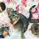 포항시북구92 이미지