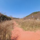 (텃밭 제초 작업) 대구 군위군 부계면 제초 작업 후기. 제초(예초) 작업 가격.