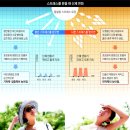 치매예방 기체조 이미지