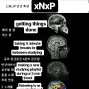 메이드블리