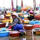 묵호어판장 이미지