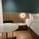 브라운도트호텔단구점 이미지