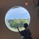 엣더팔당(Atthe8dang) | 남양주/팔당댐뷰 마운틴뷰 @앳더팔당 (at the 8DANG) : 식사(한식) 이색메뉴/커피 동시에 가능한 남양주...