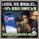 개미산업개발 | LG전자 주가 전망과 물린 후기, 쌍둥이 아빠의 짠내 나는 로봇 테마주 버티기