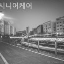 드림시니어