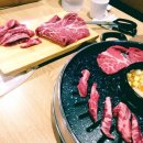 육백플러스 이미지