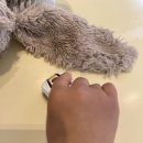 혁신꿈소아치과의원 이미지