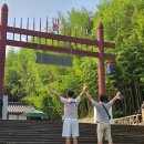 (유)성심택시 | 제주도 택시 대절 여행 이용방법 후기