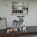 세니의 다락방 이미지