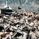 우째 이런 일이! 내고장 - 의성 고운사와 최치원 문학관도 전소 이미지