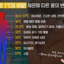 퀸테라피 이미지