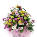 동문한의원 이미지