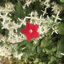 일신행정사 이미지