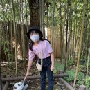 하엘네일