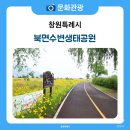 북면생태공원(다목적광장) | 창원 나들이 장소 북면수변생태공원 6월 금계국 풍경
