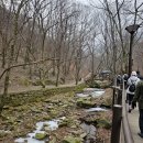 계룡산사계절2민박 | 계룡산 관음봉 겨울산행 | 암릉·은선폭포·동학사 코스 후기