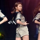 다미 이미지