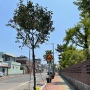 상평동행정복지센터 이미지