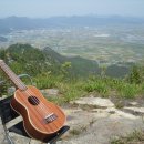 우크&기타 이미지