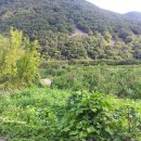 (주)한길자연환경