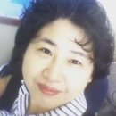 나라공인중개사사무소 이미지