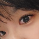 헤어뷰티연구소 | 구리속눈썹 연장 펌 가성비 최고 ez뷰티연구소