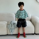한스 이미지