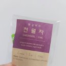 천일약초