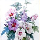 색연필 일러스트 이미지