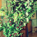 갈매기회타운 이미지