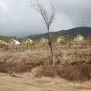 양평 베이스캠프 이미지