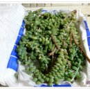 오늘의 선물 이미지