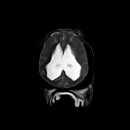 협진농장 이미지