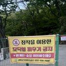 인천 강화도 가성비 좋은 캠핑장 [함허동천 야영장] 제1 야영장 후기