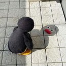믿음제일
