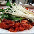 동래금정마을 Daum카페