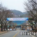 홍천군농업기술센터 남부지소 이미지