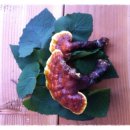 명도복지관 이미지