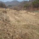 옥산리농로 네이버블로그