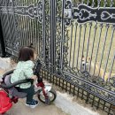 안녕,댕댕아 이미지