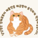 펫맘사랑