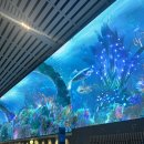 호수대중목욕탕 | 부모님과 삿포로 여행(9/25~29)-시코츠호수-온천마을 노보리베츠 타키노야 료칸